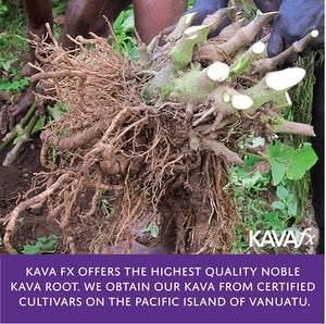Kava Shot